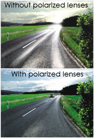 polarized lenses for driving